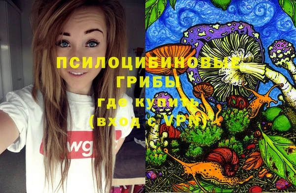 синтетический гашиш Алексин