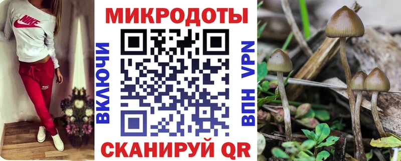 Псилоцибиновые грибы ЛСД  Абаза 